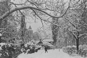 Neuchatel, The English Garden (s/hvitt bilde) av Swiss Photographer