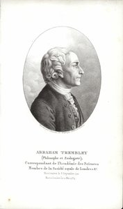 Abraham Trembley av Swiss School