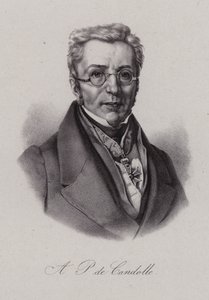 Augustin Pyramus fra Cuba , sveitsisk botaniker (gravering) av Swiss School