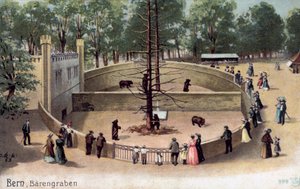 Bern, Bear Garden (farge litho) av Swiss School