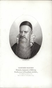 Gaspard Bauhin av Swiss School