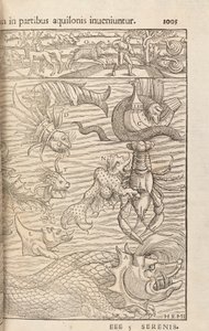 Side 1005 fra Cosmographiae Universalis av Sebastian Muenster, Basel, 1572 av Swiss School