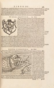 Side 983 fra Cosmographiae Universalis av Sebastian Muenster, Basel, 1572 av Swiss School