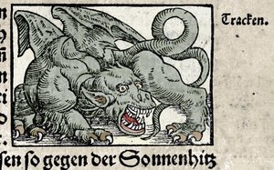 Representasjon av en drage: gravering fra Johann Stumpffs "Den Noble Strict Best Fromen". 1550 av Swiss School
