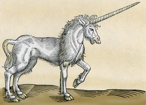 Enhjørning, illustrasjon fra Historia Animalium av Conrad Gesner, 1551
