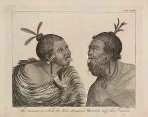 L.R.294.c.7, plate XVII New Zealand-krigere