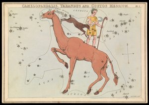 Camelopadalis, Tarandus og Custos Messium, ca. 1825 (kort, papir, vev) av Sydney Hall