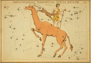 Camelopardalis, Tarandus og Custos Messium, illustrasjon fra 