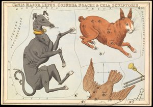 Canis Major. Hare, Noahs due og billedhuggerens celle, ca. 1825 (kort, papir, silkepapir) av Sydney Hall