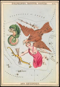 Delphinus, Sagitta, Aquila og Antinous, ca. 1825 (kort, papir, vev) av Sydney Hall