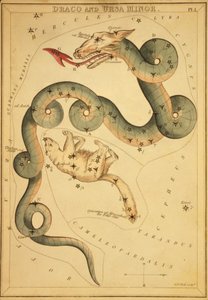 Draco og Ursa Minor, illustrasjon fra 