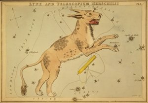 Gaupe og Telescopium Herschilii, illustrasjon fra 