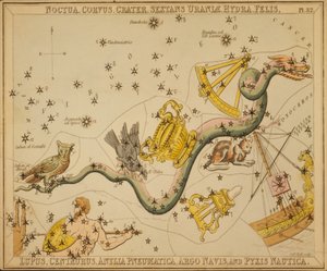 Noctua, Corvus, Crater, Sextans of Urania, Hydra, Felis, Lupus, Centaurus, Antlia Pneumatica, Argo Ship og Pyxis Nautica, illustrasjon fra 