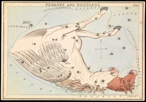 Pegasus og Equuleus, ca. 1825 (kort, papir, vev) av Sydney Hall