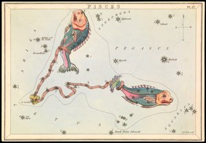 Fiskene, ca. 1825 (kort, papir, silkepapir) av Sydney Hall
