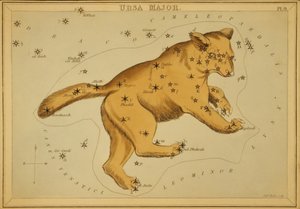 Ursa Major, illustrasjon fra 