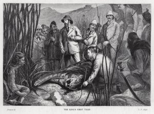 Kong Edward VII med tigeren han har drept (litho)