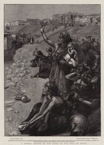 Et dystert refreng på bredden av Nilen i Luxor