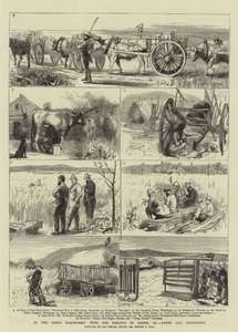 I Great North-West med Marquis of Lorne, XI, Farms and Freighters
