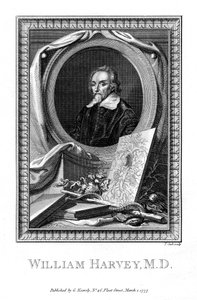 William Harvey, lege, 1777. av T. Cook