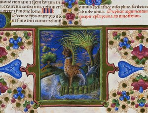 Grensefrise ved foten av siden med monstrøse dyr i landskapet, bind II, f 207, v, Bibelen til Borso d'Este, Taddeo Crivelli (1425-1479) og assistenter, latinsk manuskript