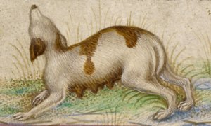  av Taddeo Crivelli