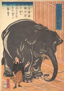 Utsikt over den store importerte elefanten, 1863 Bunkyo 3, 4. måned. av Taguchi Yoshimori