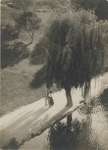  av Taizo Kato