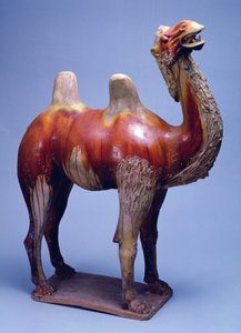 Kamel, Tang-dynastiet (polykromglasert keramikk)
