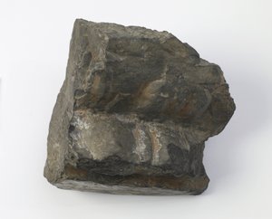 Fragment av en lotussokkel