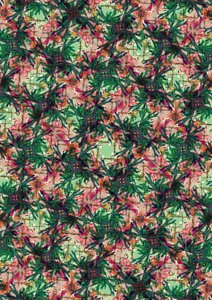 Tropisk palme