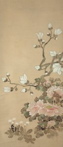 Peoner, Magnolia og Løvetann