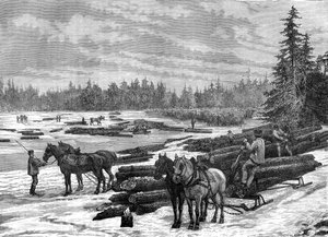 Kanadiske loggere, 1800-tallet.