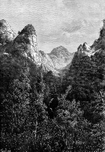 Madeira, Portugal, 1895.