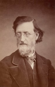 Portrett av John Peter Lesley 1819-1903, desember 1875. av Taylor and Brown