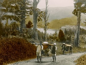 Japansk jente i Kago, Hakone-regionen, cirka 1900–1915 (fotografi)
