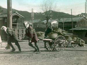 Japanske bønder som trekker sekker med ris på en vogn, ca. 1900–1915 (fotografi)