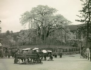  av Teijiro Takagi
