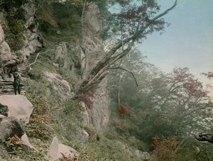 på veien til Kegon-fossene i Nikko, cirka 1900–1915 (fotografi) av Teijiro Takagi