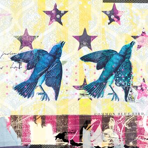 Birds in Serie, 2015 (Collage på lerret) av Teis Albers