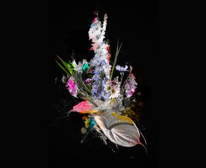Bouquet II, 2017 (blandet media på lerret) av Teis Albers