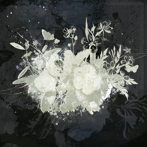 Floral Silhouette, 2015 (Collage på lerret) av Teis Albers