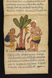 Eller. 16482, f.21 'Satra' Om spådom og råd for en lykkelig og sunn livsstil (papirbrettebok) av Thai School