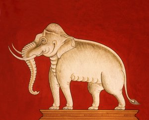 Hvit elefant, side fra et manuskript om elefanttrening (wc på papir)