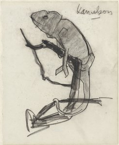Kameleon av Theo Nieuwenhuis