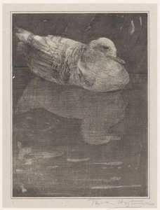 flytende and av Theo van Hoytema (signed by artist)
