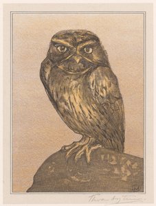 Liten ugle på stein av Theo van Hoytema (signed by artist)