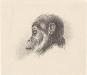 apehode