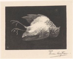 Død Robin av Theo van Hoytema