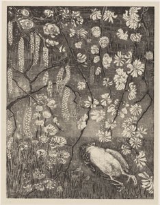 Død fugl under hassel- og kaprifolgreiner Flower Studies (original serietittel)
